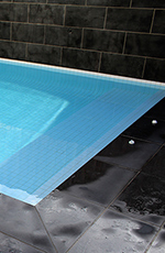 Anthony and Natasha Testimonial Venetian Pools