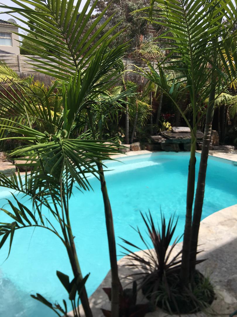 Concrete Swimming Pool and Spa Builder Beaumaris