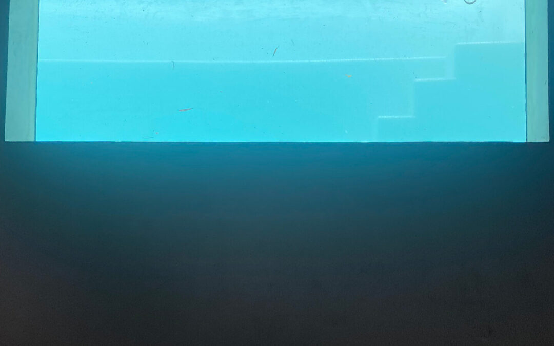 Acrylic Window Pools Lifestyle